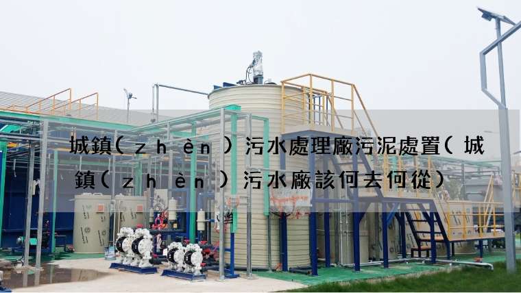 城鎮(zhèn)污水處理廠污泥處置(城鎮(zhèn)污水廠該何去何從)